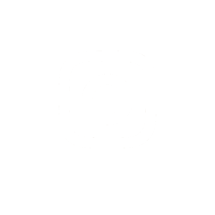 icon footer instagram